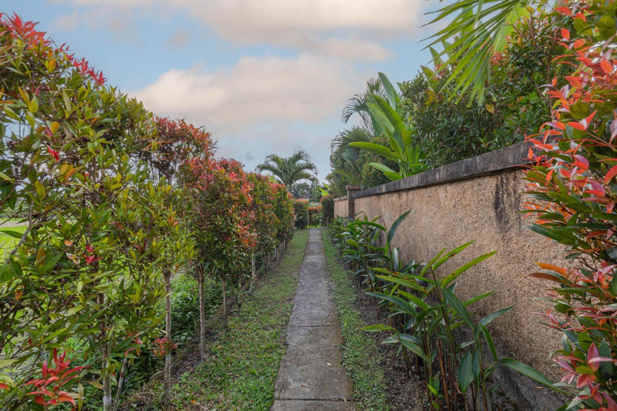 Niluh Private Villas Ubud  Exterior photo